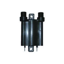 Bobine Honda Silverwing 400/600-CBF600