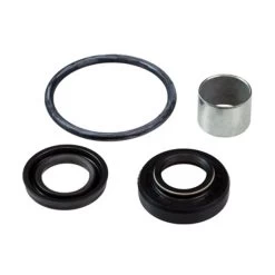 Kit D'entretien D'amortisseur Arrière 46/16mm Oil Seal Small